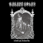 In Bereft Land, The Raven Flies