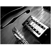 The Selly Oak Sessions