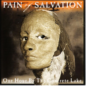 Handful Of Nothing by Pain Of Salvation