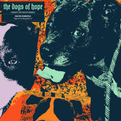 Pigs on the Wing, Pt. 1