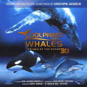 Dolphins and Whales 3D