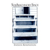 Safety In Numbers by Subarachnoid Space