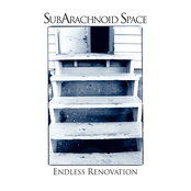 endless renovation