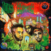 Black Woman by Jungle Brothers