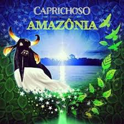 Amazônia (DEMO)