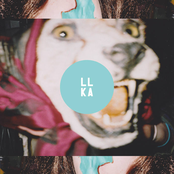 Lovely Ladies & KINGSARMS Split