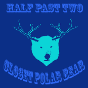 Closet Polar Bear