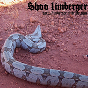 DiscoGraphia