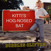 Kitti's Hog-nosed Bat