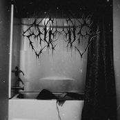 Peering Through Broken Mirrors