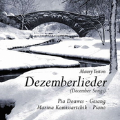 Dezemberschnee by Pia Douwes