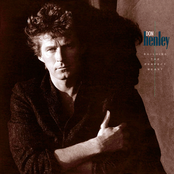 Don Henley: Building The Perfect Beast