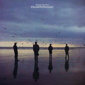 It Was A Pleasure by Echo & The Bunnymen