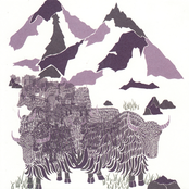 Non Meters, Volume 1