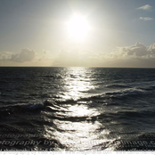 RTP Dance Album Vol.13