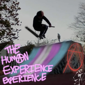 The Human Experience Experience