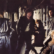 glass tiger