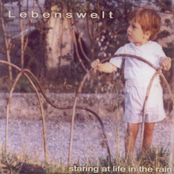 staring at life in the rain