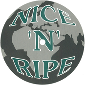 Part Two: More Dub Essentials (NNR017)