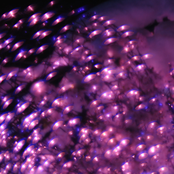 where the flowers grow (contron is dead)