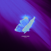 Forever - Single