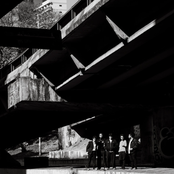 A Cor Mais Próxima do Cinza