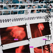 ستفلي فلوسي