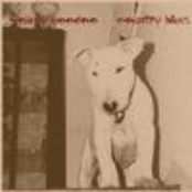 Johnny Hoodoo Country Blues