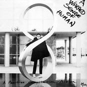 A Warped Sense of Human