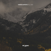 Best of 3rd Avenue | Fall 2025