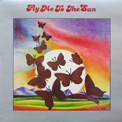 Fly Me To The Sun