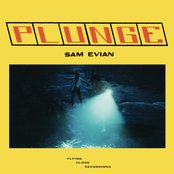 Sam Evian - Plunge Artwork