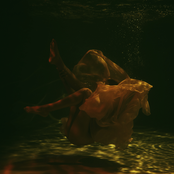 While Atlantis Gently Fades