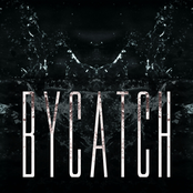 Bycatch