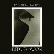 If You're Falling, Dive