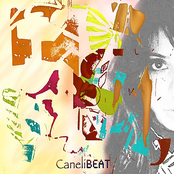 Canelibeat