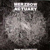 Freak Hallucinations