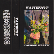 Сорные цветы