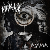 Anima