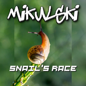 Snail's Race