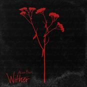 Wither