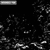 Wounded Paw