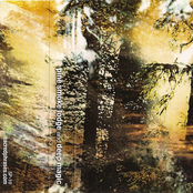 Pine Smoke Lodge & Deep Magic