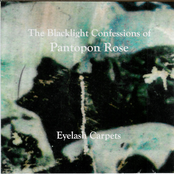 The Blacklight Confessions of Pantopon Rose