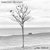 Two voices
