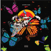 Butterfly Coupe