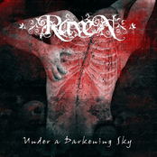 Under a Darkening Sky