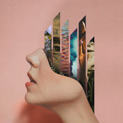 Watering Dead Plants