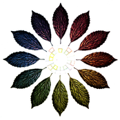 Community: A New Order Online Tribute