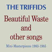 Monkey On My Back by The Triffids